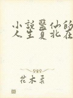 小说医仙的风流人生夏北在线阅读