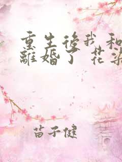 重生后我和渣男离婚了 花染