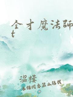 全才魔法师txt