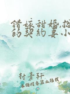 错嫁甜婚,总裁的契约妻小说