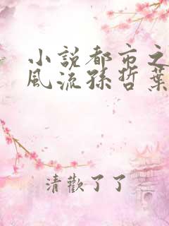 小说都市之医武风流孙哲叶巧