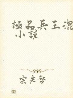 极品兵王混山村 小说