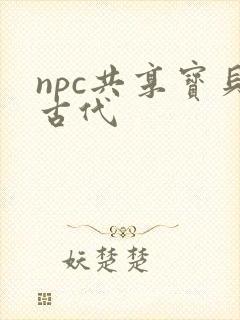 npc共享宝贝古代