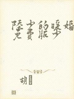 陆少的暖婚新妻免费版少