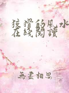 狡猾的风水相师在线阅读