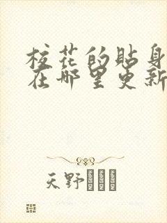 校花的贴身高手在哪里更新