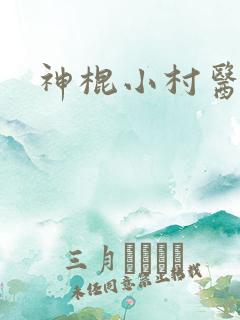 神棍小村医小说