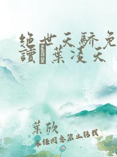 绝世天骄免费阅读·叶凌天