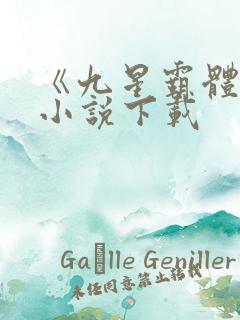 《九星霸体诀》小说下载