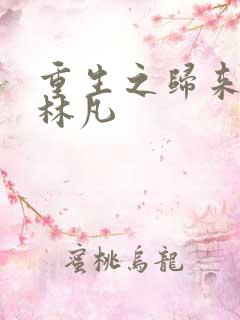 重生之归来至尊林凡