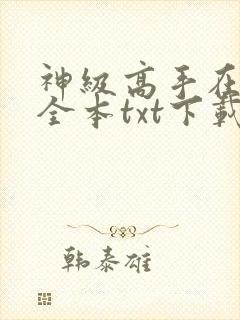 神级高手在都市全本txt下载