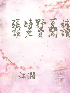 张时野夏婉央小说免费阅读笔趣阁