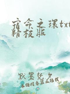 宿命之环txt精校版