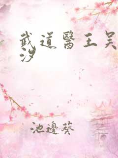 武道医王吴东云汐