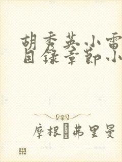 胡秀英小雷全部目录章节小说乡村