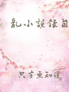 乱小说录目伦