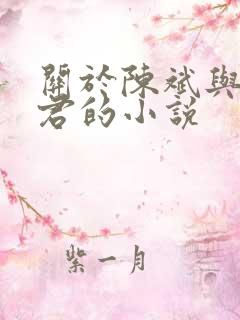 关于陈斌与高婉君的小说