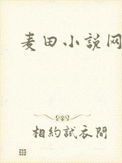 麦田小说网