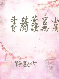 斗破苍穹小说免费阅读无广告无弹窗