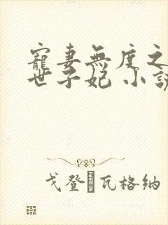 宠妻无度之腹黑世子妃 小说