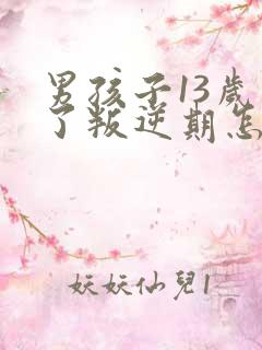 男孩子13岁到了叛逆期怎么教