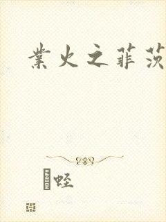 业火之菲茨