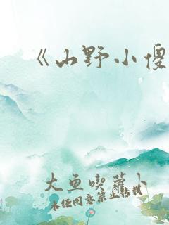 《山野小傻医》