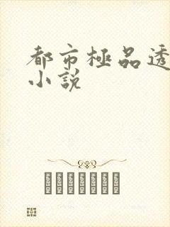 都市极品透视 小说