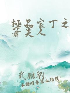 极品家丁之改编萧夫人