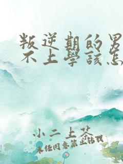 叛逆期的男孩子不上学该怎样去沟通教育