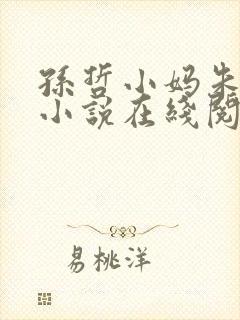孙哲小妈朱颜的小说在线阅读