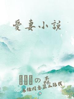 爱妻小说