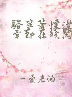 骆宁萧怀沣最新章节在线阅读