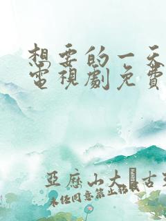 想要的一天韩剧电视剧免费观看