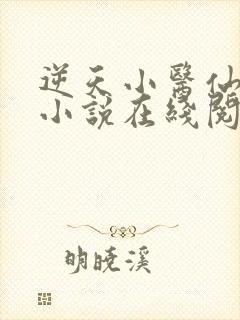 逆天小医仙陈平小说在线阅读
