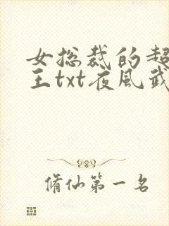 女总裁的超级兵王txt夜风武