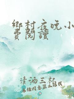 乡村夜晚小说免费阅读