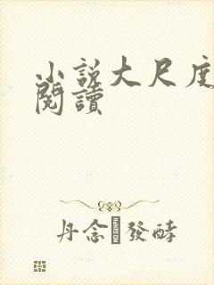 小说大尺度在线阅读