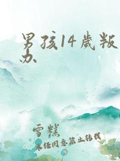 男孩14岁叛逆办