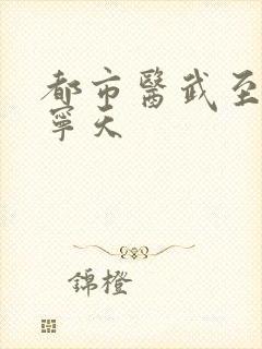 都市医武至尊 宁天