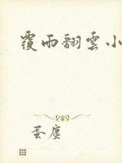 覆雨翻云小说