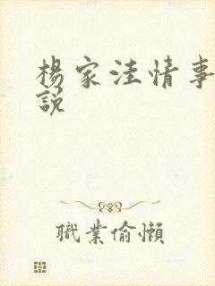 杨家洼情事 小说
