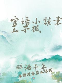 官场小说袁雯洁王子枫