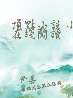 顶点小说 小说在线阅读