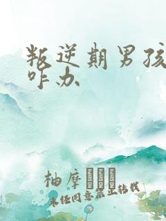 叛逆期男孩厌学咋办