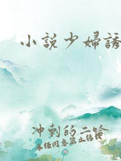 小说少妇诱惑