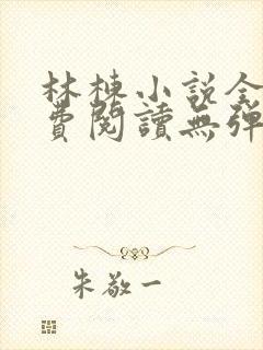 林栋小说全文免费阅读无弹窗