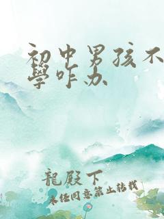 初中男孩不愿上学咋办