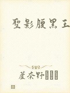 圣影腹黑王子帮