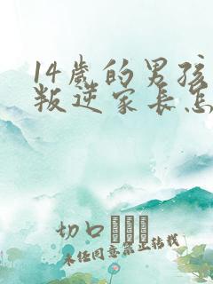 14岁的男孩子叛逆家长怎么办